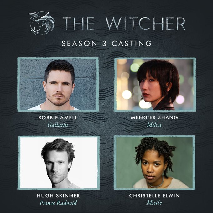 New Thhe Witcher cast members